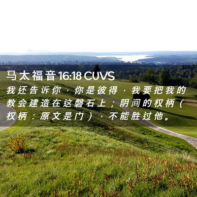 Picture 02 - 马 太 福 音 16:18 CUVS - 我 还 告 诉 你 ， 你 是 彼 得 ， 我 - Bible Verse Picture