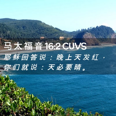 Picture 02 - 马 太 福 音 16:2 CUVS - 耶 稣 回 答 说 ： 晚 上 天 发 红 ， - Bible Verse Picture