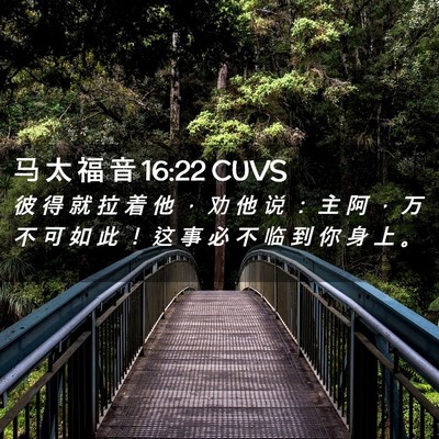 Picture 02 - 马 太 福 音 16:22 CUVS - 彼 得 就 拉 着 他 ， 劝 他 说 ： 主 - Bible Verse Picture