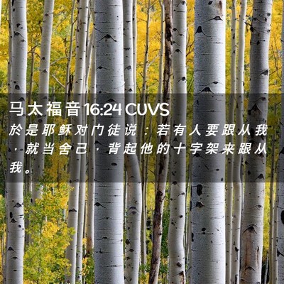 Picture 02 - 马 太 福 音 16:24 CUVS - 於 是 耶 稣 对 门 徒 说 ： 若 有 人 - Bible Verse Picture