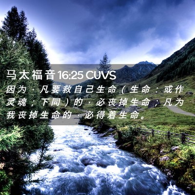 Picture 02 - 马 太 福 音 16:25 CUVS - 因 为 ， 凡 要 救 自 己 生 命 （ 生 - Bible Verse Picture