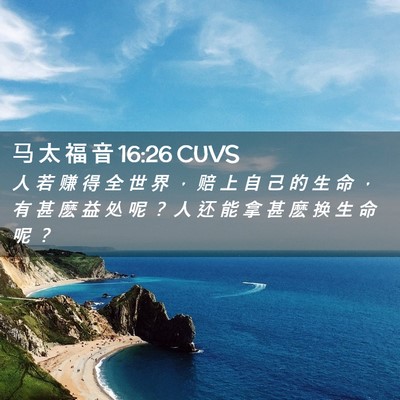 Picture 02 - 马 太 福 音 16:26 CUVS - 人 若 赚 得 全 世 界 ， 赔 上 自 己 - Bible Verse Picture