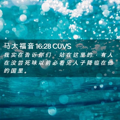 Picture 02 - 马 太 福 音 16:28 CUVS - 我 实 在 告 诉 你 们 ， 站 在 这 里 - Bible Verse Picture