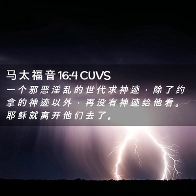 Picture 02 - 马 太 福 音 16:4 CUVS - 一 个 邪 恶 淫 乱 的 世 代 求 神 迹 - Bible Verse Picture