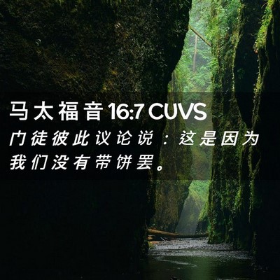 Picture 02 - 马 太 福 音 16:7 CUVS - 门 徒 彼 此 议 论 说 ： 这 是 因 为 - Bible Verse Picture