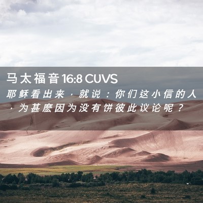 Picture 02 - 马 太 福 音 16:8 CUVS - 耶 稣 看 出 来 ， 就 说 ： 你 们 这 - Bible Verse Picture