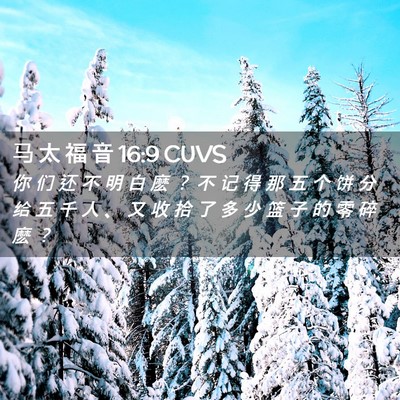 Picture 02 - 马 太 福 音 16:9 CUVS - 你 们 还 不 明 白 麽 ？ 不 记 得 那 - Bible Verse Picture