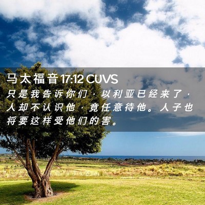 Picture 02 - 马 太 福 音 17:12 CUVS - 只 是 我 告 诉 你 们 ， 以 利 亚 已 - Bible Verse Picture