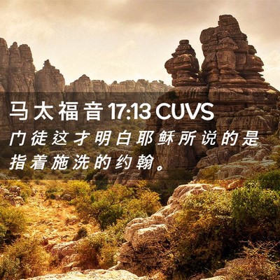 Picture 02 - 马 太 福 音 17:13 CUVS - 门 徒 这 才 明 白 耶 稣 所 说 的 是 - Bible Verse Picture