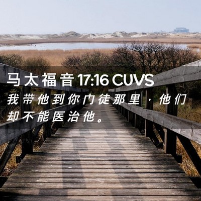 Picture 02 - 马 太 福 音 17:16 CUVS - 我 带 他 到 你 门 徒 那 里 ， 他 们 - Bible Verse Picture