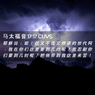 Picture 02 - 马 太 福 音 17:17 CUVS - 耶 稣 说 ： 嗳 ！ 这 又 不 信 又 悖 - Bible Verse Picture