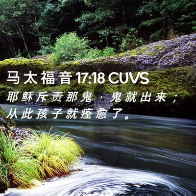 Picture 02 - 马 太 福 音 17:18 CUVS - 耶 稣 斥 责 那 鬼 ， 鬼 就 出 来 ； - Bible Verse Picture