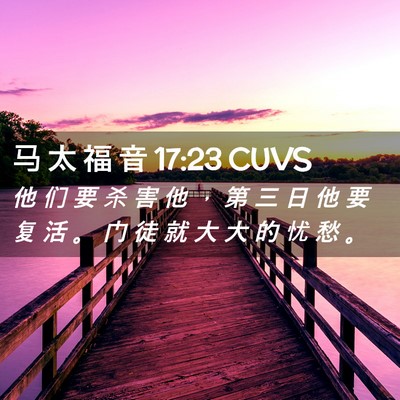Picture 02 - 马 太 福 音 17:23 CUVS - 他 们 要 杀 害 他 ， 第 三 日 他 要 - Bible Verse Picture