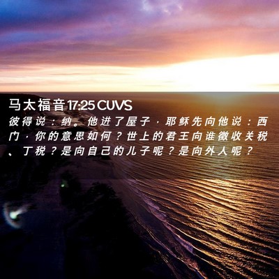 Picture 02 - 马 太 福 音 17:25 CUVS - 彼 得 说 ： 纳 。 他 进 了 屋 子 ， - Bible Verse Picture
