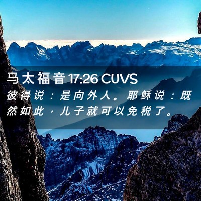 Picture 02 - 马 太 福 音 17:26 CUVS - 彼 得 说 ： 是 向 外 人 。 耶 稣 说 - Bible Verse Picture
