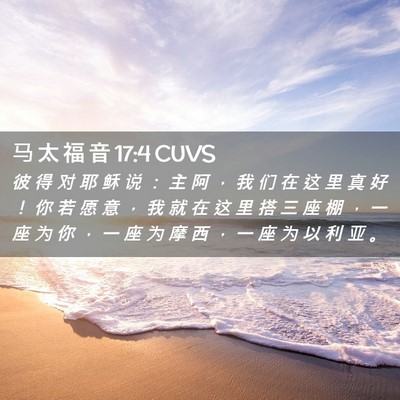 Picture 02 - 马 太 福 音 17:4 CUVS - 彼 得 对 耶 稣 说 ： 主 阿 ， 我 们 - Bible Verse Picture
