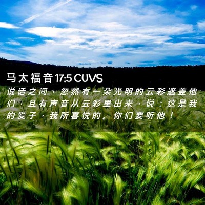 Picture 02 - 马 太 福 音 17:5 CUVS - 说 话 之 间 ， 忽 然 有 一 朵 光 明 - Bible Verse Picture