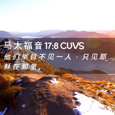 Picture 02 - 马 太 福 音 17:8 CUVS - 他 们 举 目 不 见 一 人 ， 只 见 耶 - Bible Verse Picture
