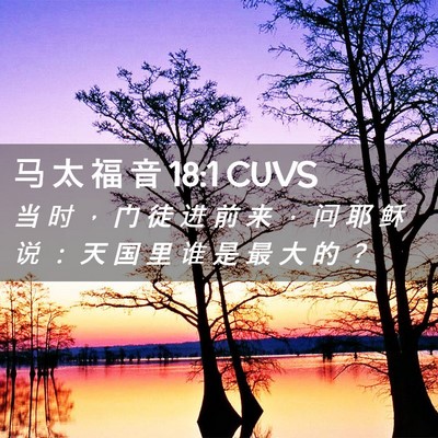 Picture 02 - 马 太 福 音 18:1 CUVS - 当 时 ， 门 徒 进 前 来 ， 问 耶 稣 - Bible Verse Picture