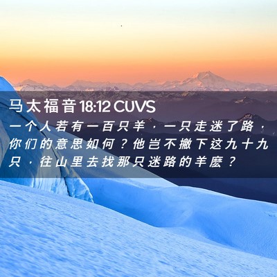 Picture 02 - 马 太 福 音 18:12 CUVS - 一 个 人 若 有 一 百 只 羊 ， 一 只 - Bible Verse Picture