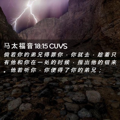 Picture 02 - 马 太 福 音 18:15 CUVS - 倘 若 你 的 弟 兄 得 罪 你 ， 你 就 - Bible Verse Picture