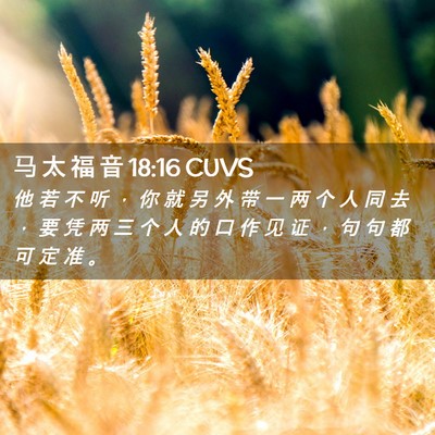 Picture 02 - 马 太 福 音 18:16 CUVS - 他 若 不 听 ， 你 就 另 外 带 一 两 - Bible Verse Picture