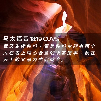 Picture 02 - 马 太 福 音 18:19 CUVS - 我 又 告 诉 你 们 ， 若 是 你 们 中 - Bible Verse Picture