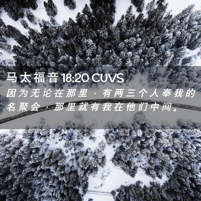 Picture 02 - 马 太 福 音 18:20 CUVS - 因 为 无 论 在 那 里 ， 有 两 三 个 - Bible Verse Picture