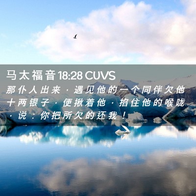 Picture 02 - 马 太 福 音 18:28 CUVS - 那 仆 人 出 来 ， 遇 见 他 的 一 个 - Bible Verse Picture