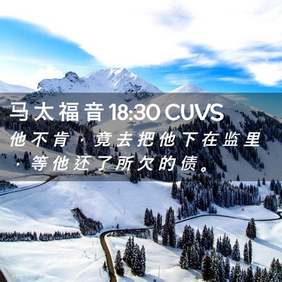 Picture 02 - 马 太 福 音 18:30 CUVS - 他 不 肯 ， 竟 去 把 他 下 在 监 里 - Bible Verse Picture