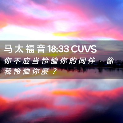 Picture 02 - 马 太 福 音 18:33 CUVS - 你 不 应 当 怜 恤 你 的 同 伴 ， 像 - Bible Verse Picture