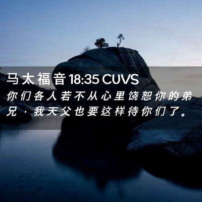 Picture 02 - 马 太 福 音 18:35 CUVS - 你 们 各 人 若 不 从 心 里 饶 恕 你 - Bible Verse Picture