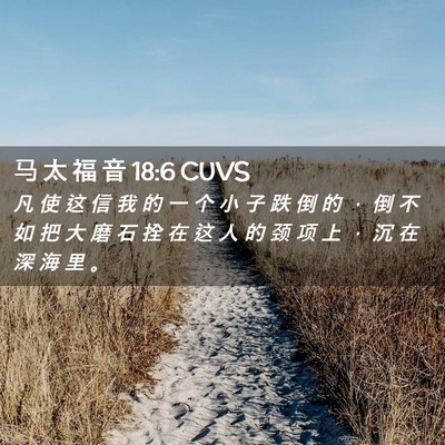 Picture 02 - 马 太 福 音 18:6 CUVS - 凡 使 这 信 我 的 一 个 小 子 跌 倒 - Bible Verse Picture