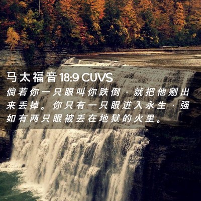 Picture 02 - 马 太 福 音 18:9 CUVS - 倘 若 你 一 只 眼 叫 你 跌 倒 ， 就 - Bible Verse Picture