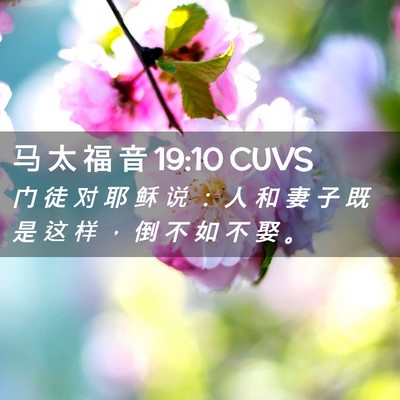 Picture 02 - 马 太 福 音 19:10 CUVS - 门 徒 对 耶 稣 说 ： 人 和 妻 子 既 - Bible Verse Picture