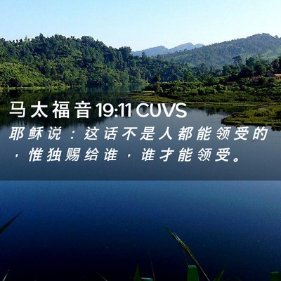 Picture 02 - 马 太 福 音 19:11 CUVS - 耶 稣 说 ： 这 话 不 是 人 都 能 领 - Bible Verse Picture