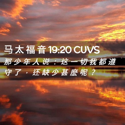 Picture 02 - 马 太 福 音 19:20 CUVS - 那 少 年 人 说 ： 这 一 切 我 都 遵 - Bible Verse Picture