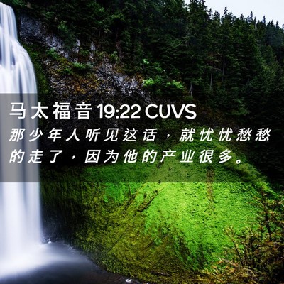Picture 02 - 马 太 福 音 19:22 CUVS - 那 少 年 人 听 见 这 话 ， 就 忧 忧 - Bible Verse Picture