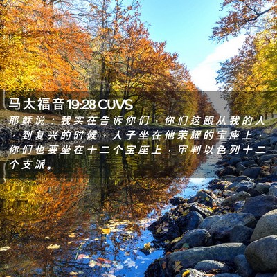Picture 02 - 马 太 福 音 19:28 CUVS - 耶 稣 说 ： 我 实 在 告 诉 你 们 ， - Bible Verse Picture