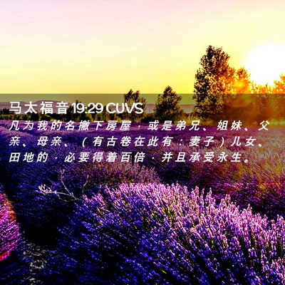 Picture 02 - 马 太 福 音 19:29 CUVS - 凡 为 我 的 名 撇 下 房 屋 ， 或 是 - Bible Verse Picture