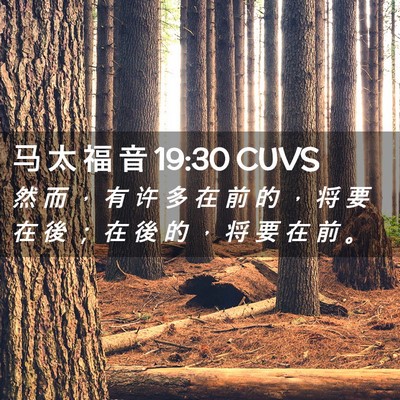 Picture 02 - 马 太 福 音 19:30 CUVS - 然 而 ， 有 许 多 在 前 的 ， 将 要 - Bible Verse Picture
