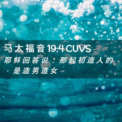 Picture 02 - 马 太 福 音 19:4 CUVS - 耶 稣 回 答 说 ： 那 起 初 造 人 的 - Bible Verse Picture