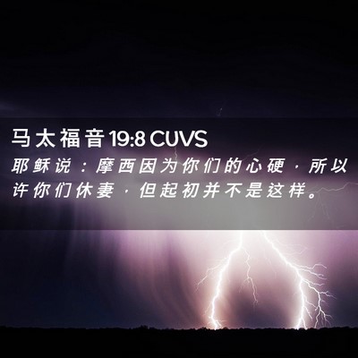 Picture 02 - 马 太 福 音 19:8 CUVS - 耶 稣 说 ： 摩 西 因 为 你 们 的 心 - Bible Verse Picture