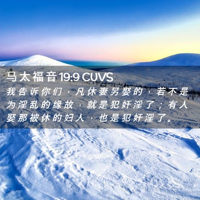 Picture 02 - 马 太 福 音 19:9 CUVS - 我 告 诉 你 们 ， 凡 休 妻 另 娶 的 - Bible Verse Picture