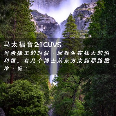 Picture 02 - 马 太 福 音 2:1 CUVS - 当 希 律 王 的 时 候 ， 耶 稣 生 在 - Bible Verse Picture