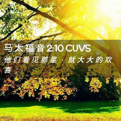 Picture 02 - 马 太 福 音 2:10 CUVS - 他 们 看 见 那 星 ， 就 大 大 的 欢 - Bible Verse Picture