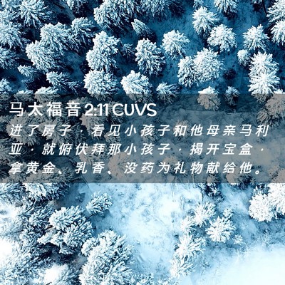 Picture 02 - 马 太 福 音 2:11 CUVS - 进 了 房 子 ， 看 见 小 孩 子 和 他 - Bible Verse Picture