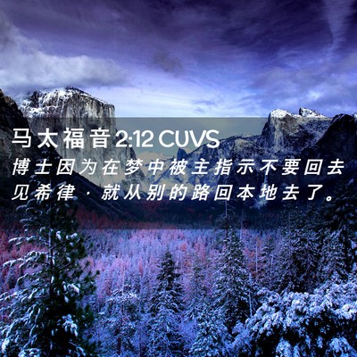 Picture 02 - 马 太 福 音 2:12 CUVS - 博 士 因 为 在 梦 中 被 主 指 示 不 - Bible Verse Picture