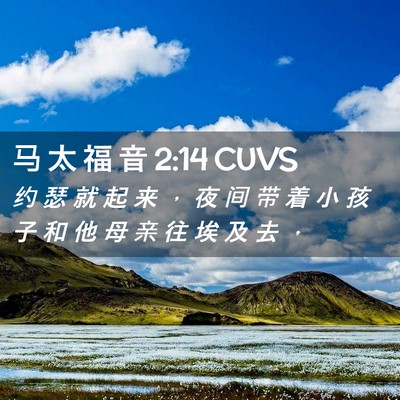 Picture 02 - 马 太 福 音 2:14 CUVS - 约 瑟 就 起 来 ， 夜 间 带 着 小 孩 - Bible Verse Picture