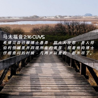 Picture 02 - 马 太 福 音 2:16 CUVS - 希 律 见 自 己 被 博 士 愚 弄 ， 就 - Bible Verse Picture